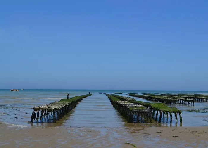 Nid De Pie Grand Duplex Lumineux Cadre Verdoyant Calme A 5 Mn De La Pres Port En Bessin, Bayeux, Omaha Beach, * Commes